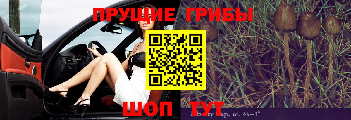 Псилоцибиновые грибы мухоморы Видное